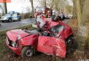 D: Kleinwagen prallt gegen einen Baum -> Lenker verstorben