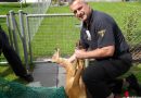 Bayern: Feuerwehreinsatz „Reh im Garten in Augsburg“