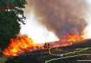 Deutschland: 12 Hektar Weizenfeld bei Bruchsal in Flammen