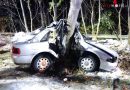 Deutschland: Drei Eingeklemmte nach Autoanprall an Baum
