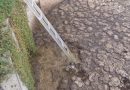 Stmk: Feuerwehr rettet Hund aus Jauchegrube