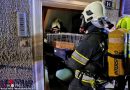 Stmk: Hasenkäfige bei Küchenbrand in Kapfenberg ins Freie gebracht