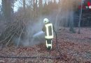 Deutschland: Kurioser Brandalarm: „Feuerameisen im Vogelsbergkreis?“
