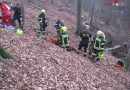 Nö: Schwierige Personenrettung nach Forstunfall im Steilgelände in Königstetten