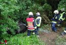 Nö: Pkw-Bergung aus Bach mit SRF-Kran in Laxenburg
