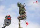 Oö: Spitze eines Maibaums in Leonding drohte nach starkem Wind abzustürzen