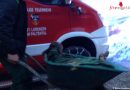 Stmk: Neugeborenes Kalb in Jauchegrube in St. Lorenzen im Paltental