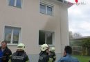 Bgld: Wohnungsbrand in Oberwart → Leguan gerettet, Katze tot