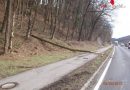 Oö: Vorbeifahrendes Auto in Puchenau von Baum getroffen