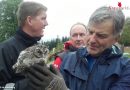 Stmk: Rettung eines Waldkautz-Babys