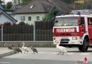 Oö: Feuerwehr Schwertberg verzeichnet für 2016 Einsatzplus von 55%