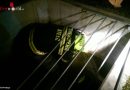 Oö: Feuerwehr Steyr holt Katze aus Kanal