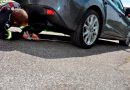 Oö: Feuerwehrmänner in Steyregg als Schlangenfänger