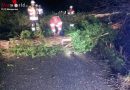 Deutschland: Sturmtiefs beschäftigen Feuerwehr Weingarten am 8. und 9. Februar 2016