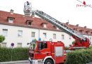 Oö: Katze „Peaches“ mit Drehleiter der Feuerwehr vom Dach eines Hauses in Wels-Vogelweide gerettet