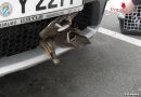 Deutschland: Ente steckt in Kühlergrill fest