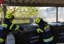Stmk: Vom Maibaum aufstellen zum Mistkübelbrand