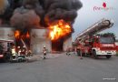 Nö: Lagerhalle von Deponiebetrieb in Gerasdorf in Vollbrand