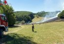 Nö: Sieben Feuerwehren bei Waldbrand im Einsatz (+Video)