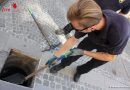 Nö: Taube von Feuerwehr aus Kanalschacht gerettet