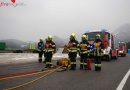 Oö: 14 Leistungsabzeichen an einem Tag
