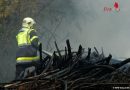 Ktn: Vier Feuerwehren bei Waldbrand gefordert