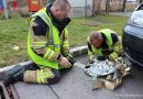 Nö: Katze steckt in Keilriemen fest – Feuerwehr Vösendorf befreit verletzten Stubentiger aus Motorraum