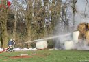 Deutschland: Feuerwehr verhindert Brandausbreitung von Strohballen auf Baumbestand