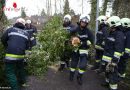 Oö: Tief „Niklas“ zieht auch an der Welser Feuerwehr nicht spurlos vorüber