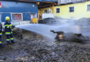 Stmk: 600 kg schwere Kuh aus Jauchegrube befreit