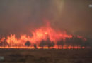 Nö: Waldbrand-Großeinsatz für Feuerwehr bei Saubersdorf