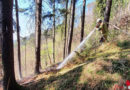 Tirol: Versuchte Brandstiftung → entstehender Waldbrand in Stans rechtzeitig entdeckt