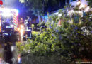 Nö: Baum in Gumpoldskirchen auf Pkw gestürzt