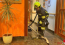 Oö: Wasserdampf sorgt für Brandalarm