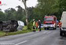 D: Transporter schleudert mit Heck gegen Baum