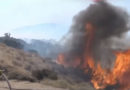 USA: Bobcat-Feuer erreicht bereits über 23.000 Hektar Fläche
