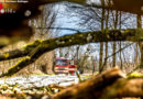 Oö: Pkw prallt in Pöndorf gegen über Straße liegenden Baum → ein Schwerverletzter (48)