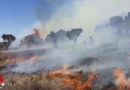 Afrika: Großer Brand am Kilimanjaro