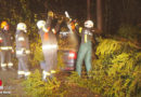 Oö: Pkw kracht in Mauerkirchen gegen Baum → Gewächs stürzt auf Auto