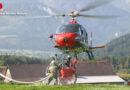 Ktn: Neu aufgeforstete Waldfläche brannte im Bereich Villach – Burg Landskron