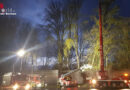 D: 30 m Linde droht in Bochum auf Spielplatz und Gehweg zu stürzen
