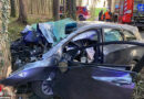 Oö: Pkw gegen Baum in Waldneukirchen → junge Frau von Feuerwehr befreit