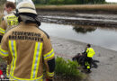 D: Feuerwehr rettet Angler aus dem Geesteufer in Bremerhaven