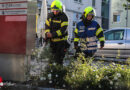 Oö: Kleinbrand auf den zweiten Blick → glosendes Blumenbeet in Marchtrenk rasch gelöscht