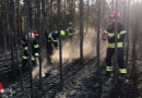 Nö: Erster Einsatz für die Waldbrandgruppe Gumpoldskirchen → Feuer im Föhrenwald im Bez. Neunkirchen