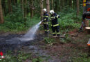 Oö: Löscheinsatz in einem Waldstück in Wels