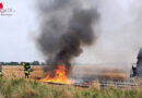 D: Brennender Mähdrescher auf Feld in Helvesiek