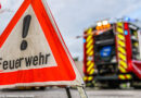 D: Gelenkbus „klettert“ bei Unfall Baum hinauf, Fahrer schwer verletzt