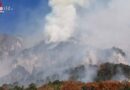 Nö: Endlich → „Vorübergehendes Brand aus“ beim großen Waldbrand von Hirschwang