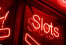 Einfach für Anfänger, Hit für High Roller: Forest Rock Online Spielautomat